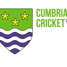 Cumbria cricket logo